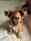 Oscar - Oh Boy! What a Cutie!
