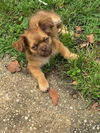 Oscar - Oh Boy! What a Cutie!