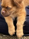 Oscar - Oh Boy! What a Cutie!