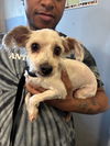 Sheldon - Super Cute!