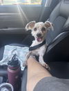 Sheldon - Super Cute!