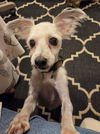 Sheldon - Super Cute!