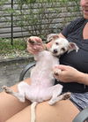 Sheldon - Super Cute!