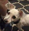 Sheldon - Super Cute!