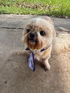 Chloe - Cutie Pie!