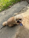 Chloe - Cutie Pie!