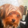 Kody - Kind Cutie!