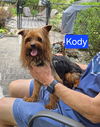 Kody - Kind Cutie!