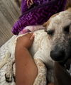 Astra - Amazing Pup!!