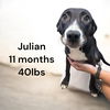 Julian - Just Adorable!
