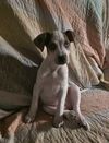 Mazie Marie - Blue Eyed Beauty!