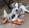 Mazie Marie - Blue Eyed Beauty!