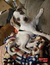 Mazie Marie - Blue Eyed Beauty!