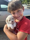 Noah - Cute as a button!