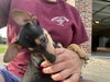 Hodge - Oh my Heart!