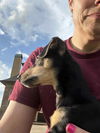 Hodge - Oh my Heart!