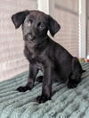 Hallie - Sweet Beauty!
