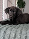 Hallie - Sweet Beauty!