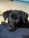 Hallie - Sweet Beauty!