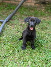 Hallie - Sweet Beauty!