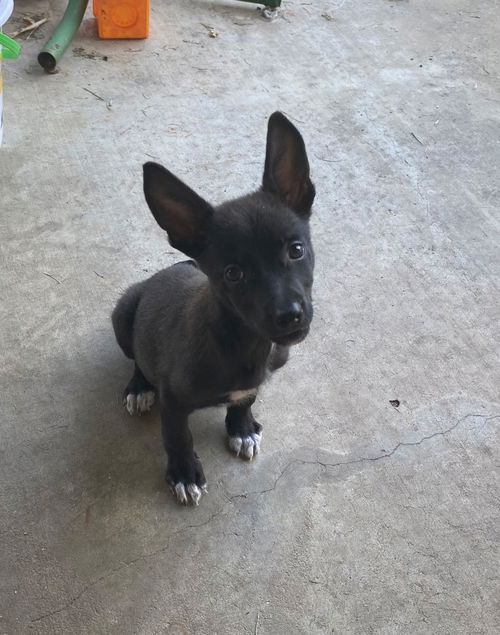 Camille - Cuteness Overload!