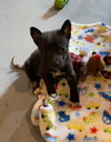 Camille - Cuteness Overload!