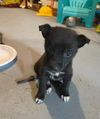 Camille - Cuteness Overload!