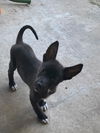 Camille - Cuteness Overload!