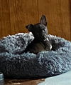 Camille - Cuteness Overload!