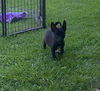 Camille - Cuteness Overload!