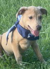 Oscar - Oh what a cutie!
