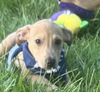 Oscar - Oh what a cutie!