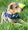 Oscar - Oh what a cutie!