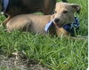 Oscar - Oh what a cutie!
