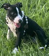 Thelma - Too Cute!