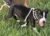 Thelma - Too Cute!