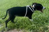 Thelma - Too Cute!
