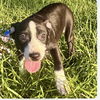 Thelma - Too Cute!