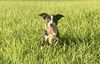 Thelma - Too Cute!