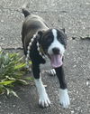 Thelma - Too Cute!