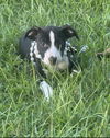 Thelma - Too Cute!