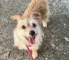 Winston - What a cutie!