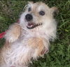 Winston - What a cutie!