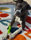 Spade - Photo 1
