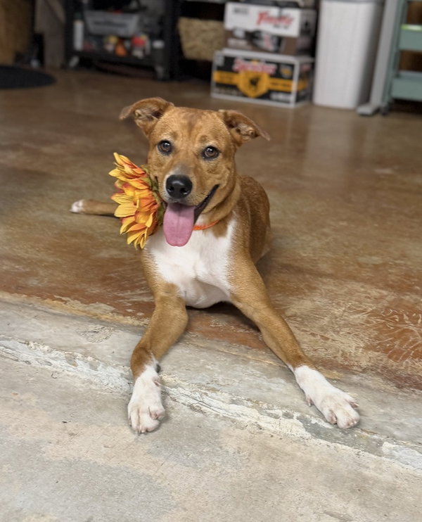 Bridget- ray of sunshine