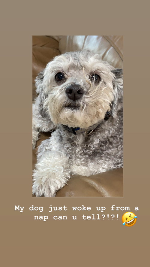Ramsey - Adoption Pending