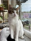 TEDDY - Photo 2