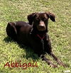 Abbigail- such a sweetheart