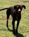 Abbigail- such a sweetheart