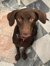 Abbigail- such a sweetheart